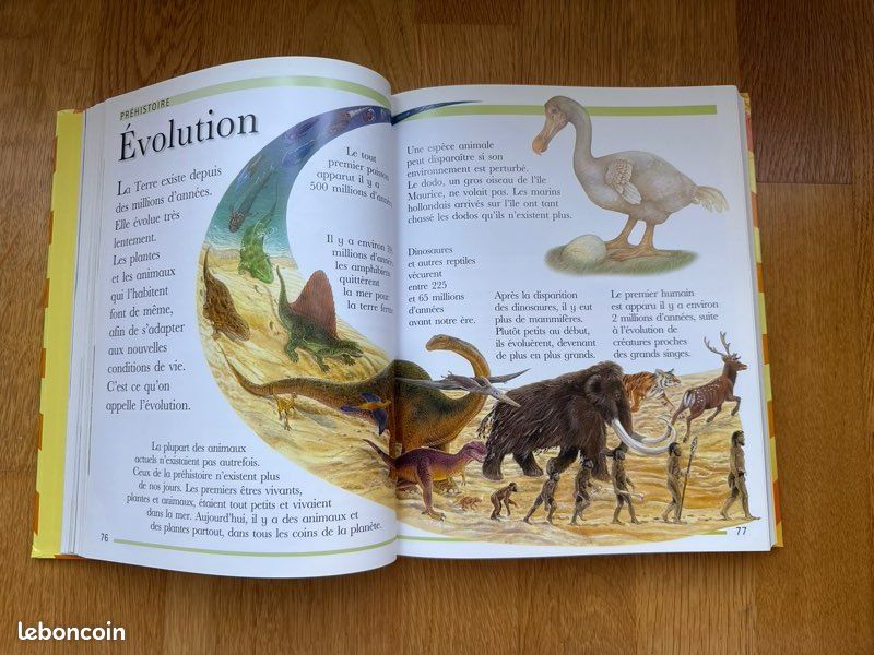 Ma grande encyclopédie 5 - 8 ans (image 5)