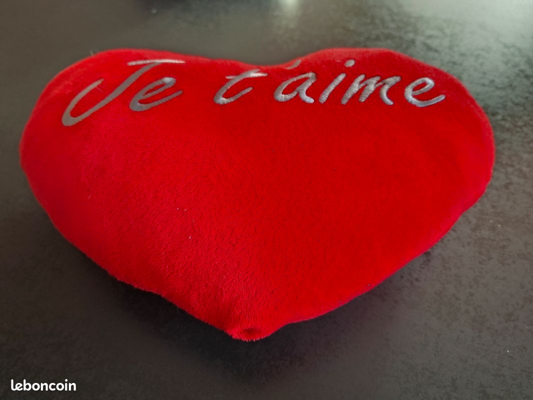 Coussin cœur (DitouG3E) (image 3)