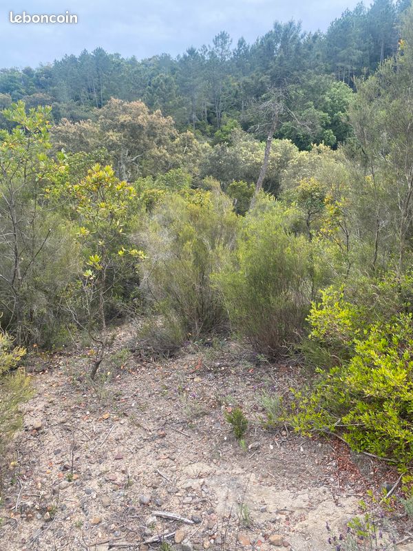 Terrain agricole · à Peymeinade · 100 000 €