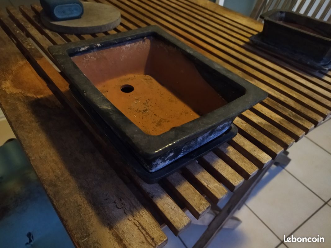 Pot bonsaï grand (image 2)
