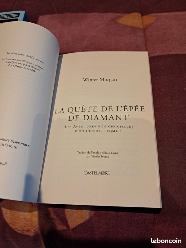 2 livres Minecraft (image 10)