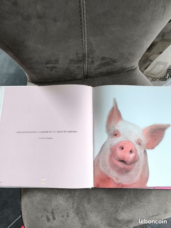 Livre cochon (image 5)