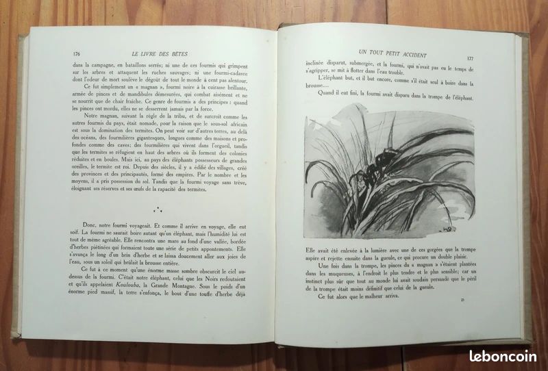 André Demaison: Animal Comedy Illustrations Of luermoz Delagrave 1938 | UK