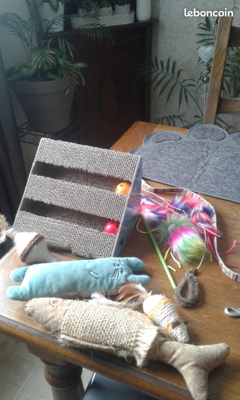 Différents accessoires pour les chats (image 3)
