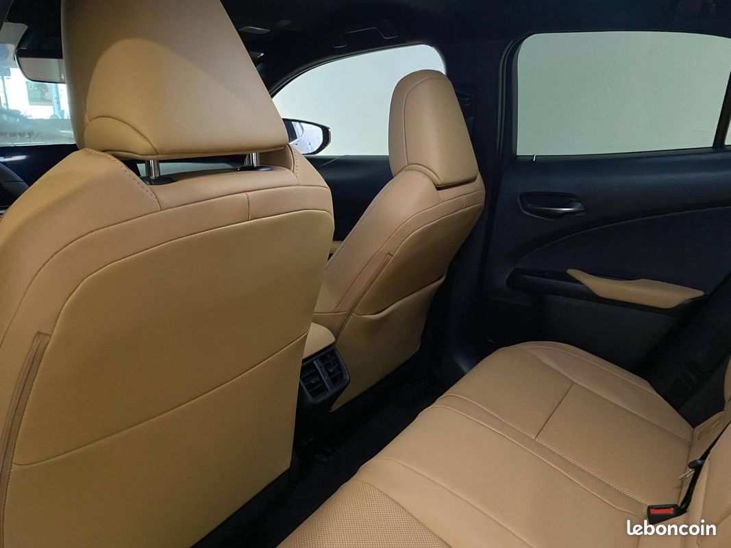 Lexus UX 250h Luxe 2WD (image 5)