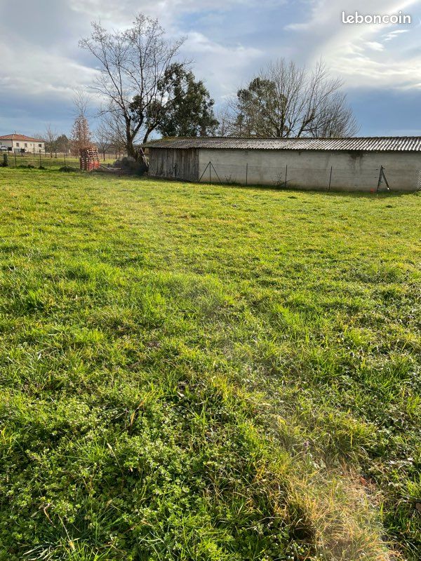 Terrain 1049 m² · à Nègrepelisse · 62 500 €