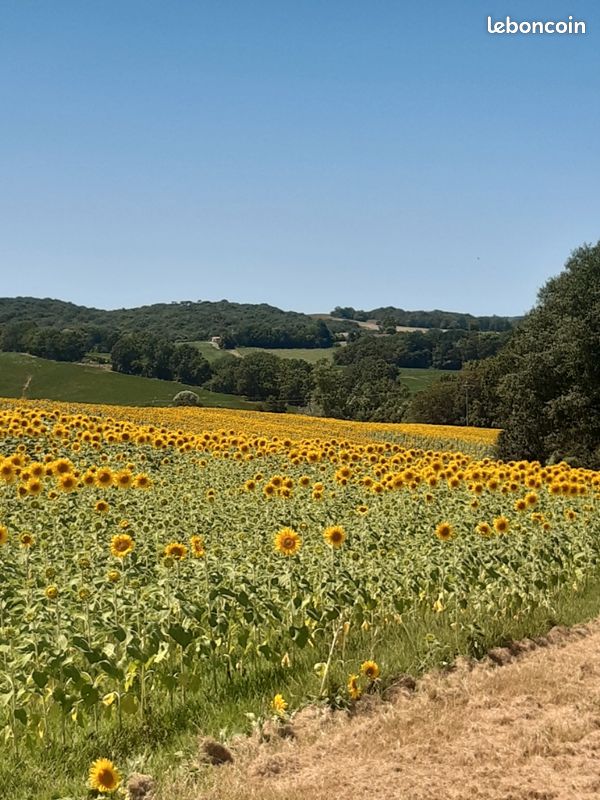 Exploitation agricole de 51 Ha · à Margouët-Meymes · 365 000 €