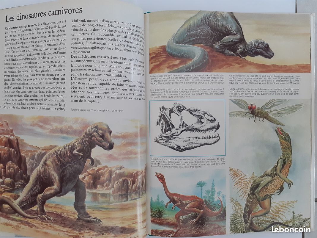 La préhistoire (image 2)