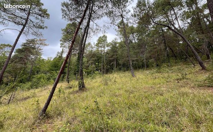 Terrain 2 519 m² Antonne Et Trigonant