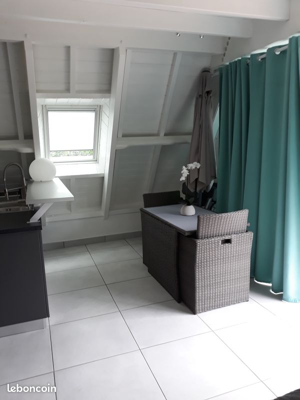 Chalet tillandsia (image 9)