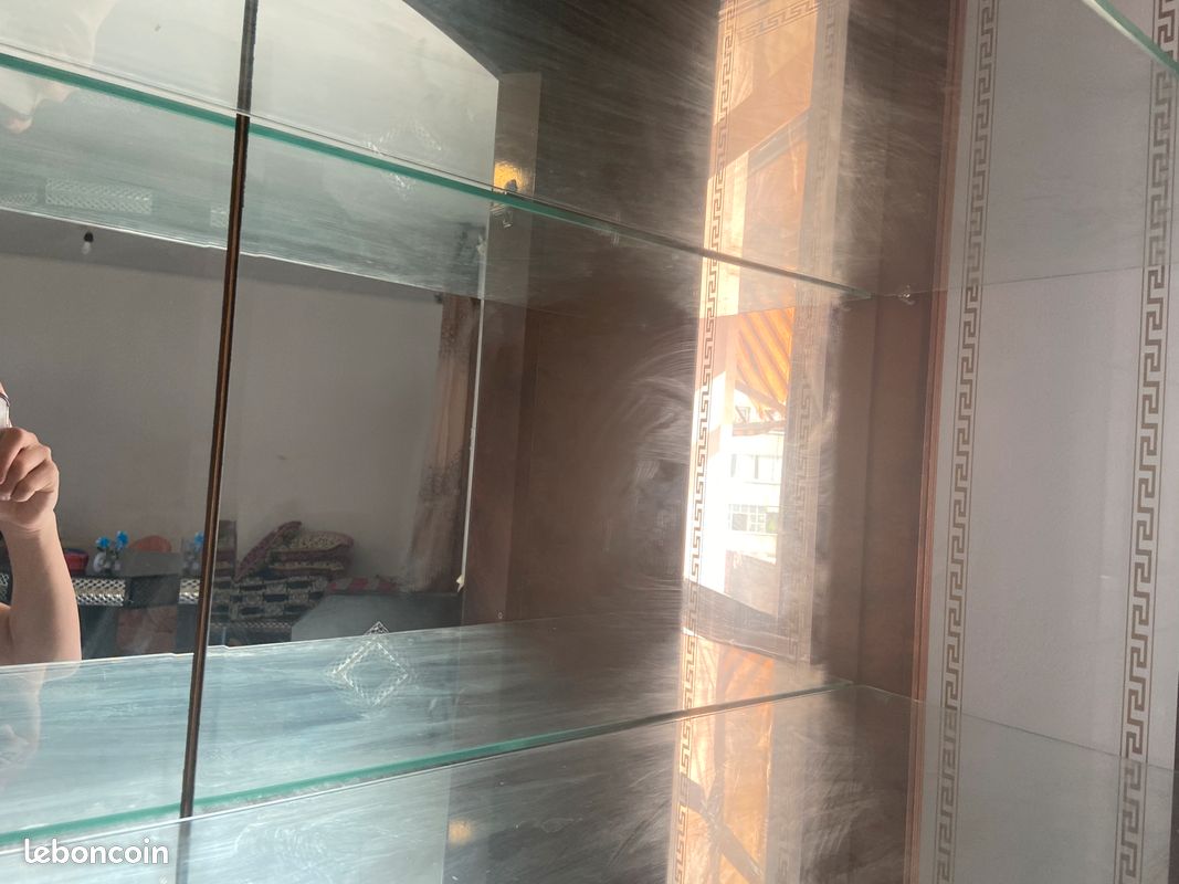 Vitrine 250 (image 3)