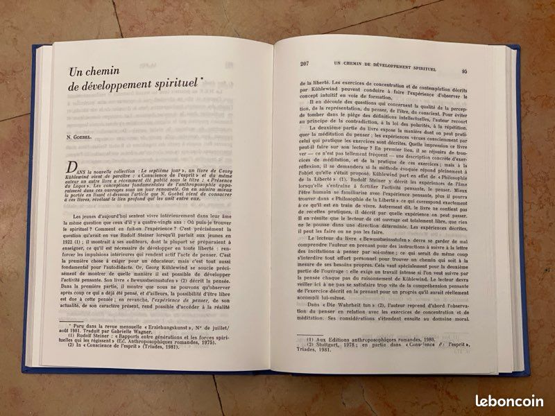 Triades s’explique 1981-82 - Rudolf Steiner (image 7)