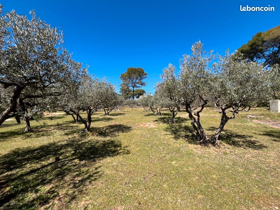 Terrain 1 050 m² Salernes · 134 000 €