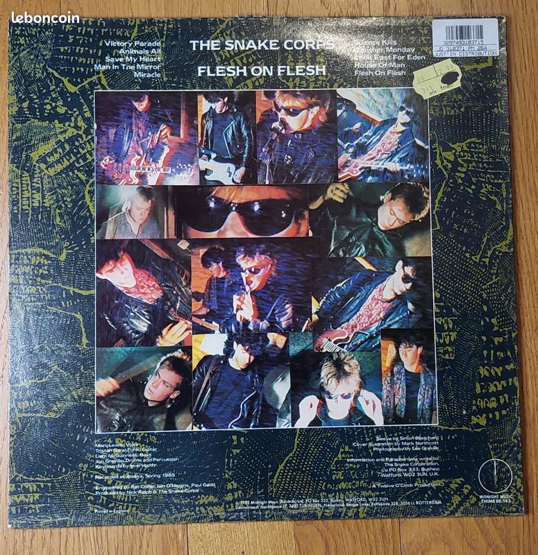 THE SNAKE CORPS flesh on flesh vinyle - CD - Musique