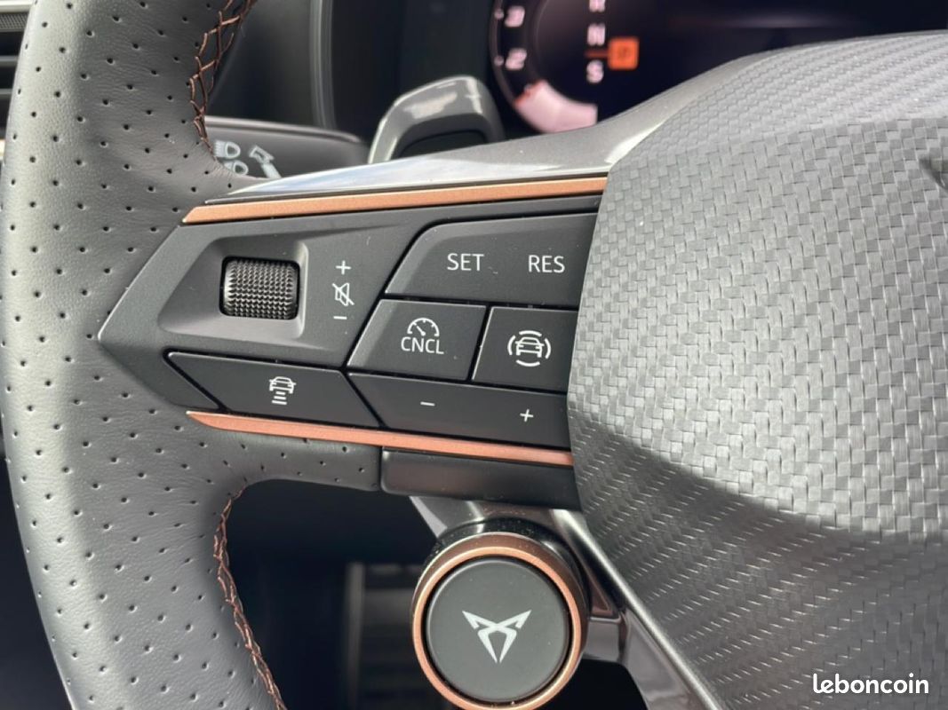 CUPRA FORMENTOR 2.0 tdi 150 v dsg7 (image 16)