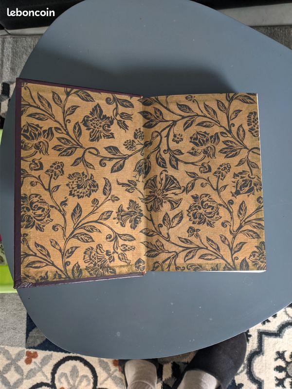 Livre l'assommoir d'Émile zola (image 6)