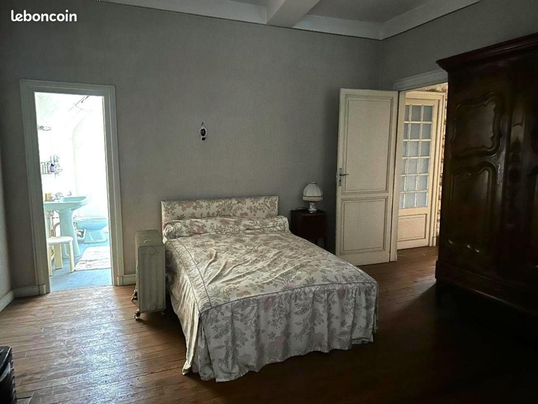 Château 9 pièces 400 m² - Oloron-Sainte-Marie 64400 (image principale 5)