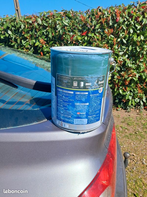 Vends peinture bois bleue (image 2)
