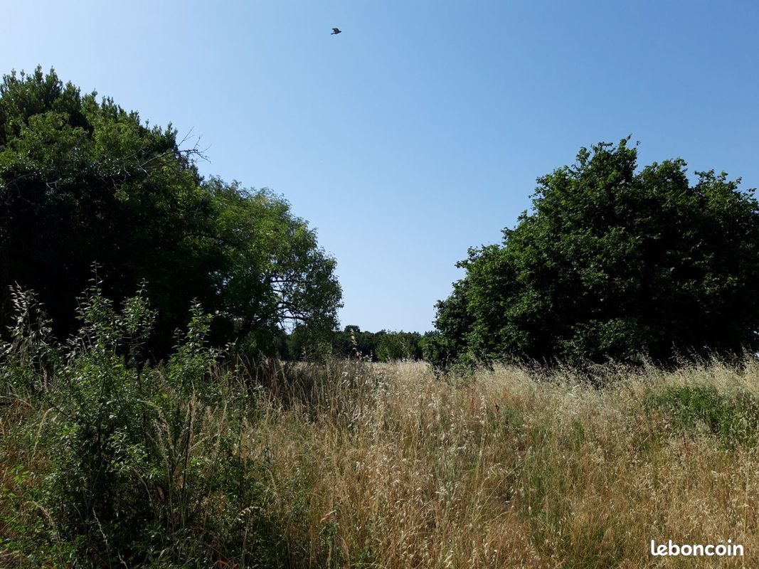 Terrain à bâtir de 699 m2 au prix de 27960 à CRAZANNES (17) · 27 960 €