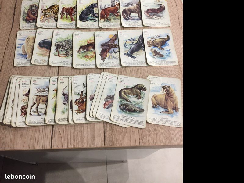 Carte animaux (image 1)