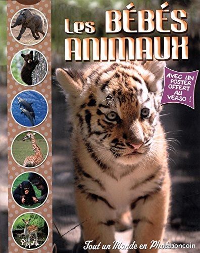 Les bébés animaux (image 1)