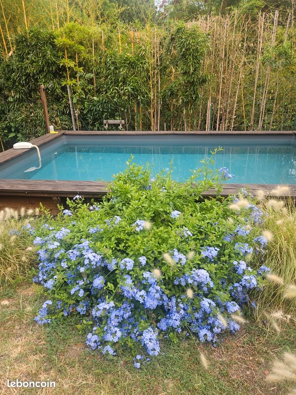 Un jardin au cœur de Vence (image 2)