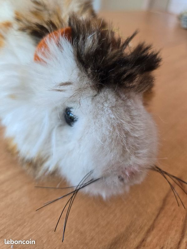 Cochon d'inde en peluche de la marque Steiff (image 3)