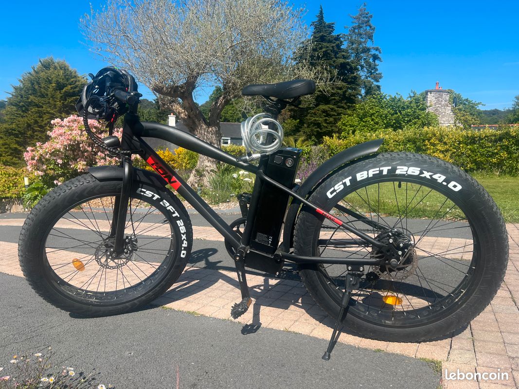 Assistance électrique Velo Electrique Ion Fat Vélo Assistance