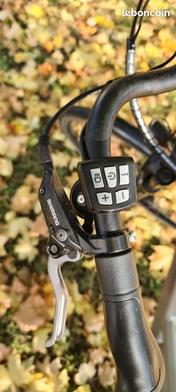 Velo Electrique Vitality (image 5)