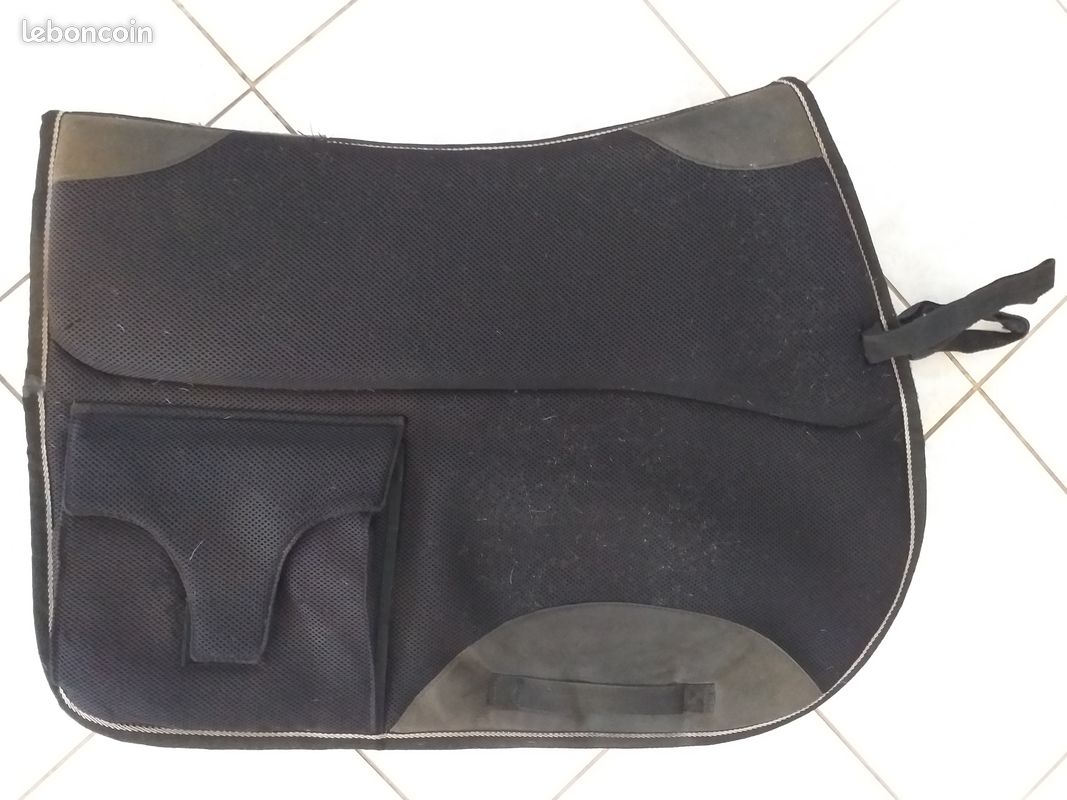 Cheval (image 1)