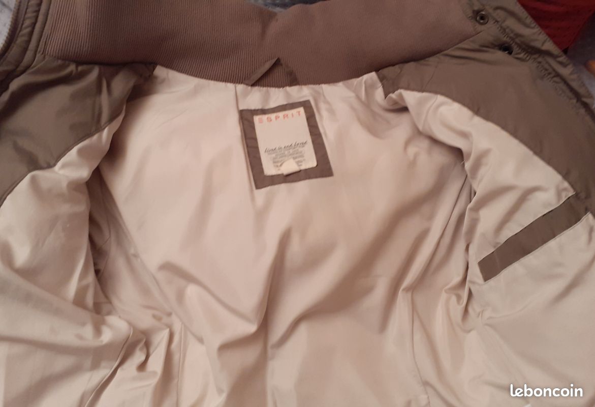 Doudoune avec duvet Esprit T 36 (image 8)