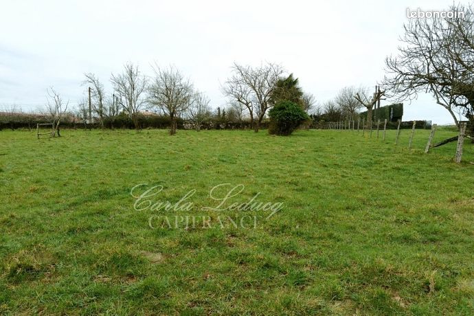 Terrain 1 623 m² Saint Martin De Saint Maixent