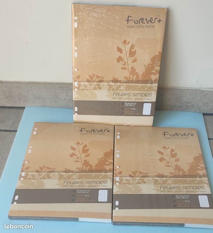 Feuilles simples perforées (image 1)