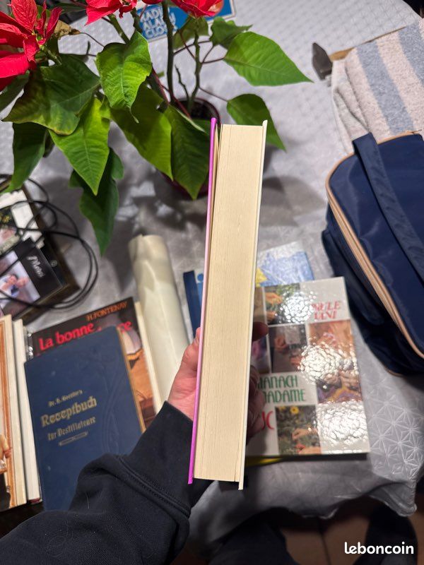 Livre le français pratique (image 4)