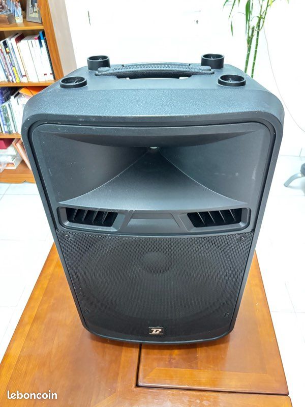 Enceinte, sono de soirée (image 2)
