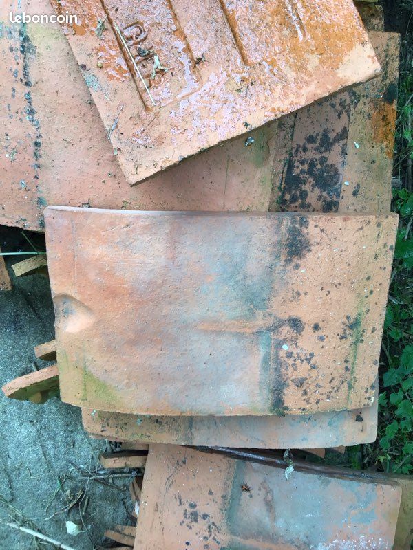 Tuiles (image 2)