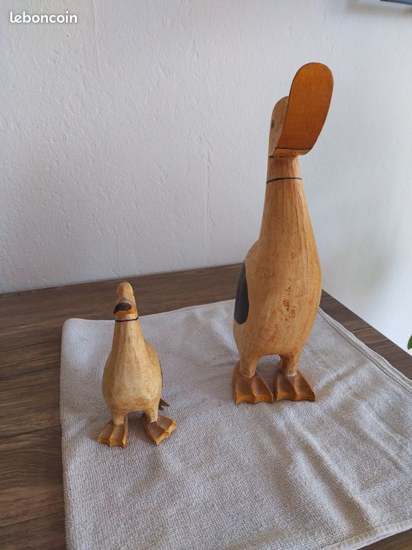 Canard (image 2)