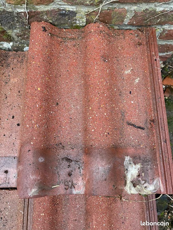 Tuiles béton (image 2)