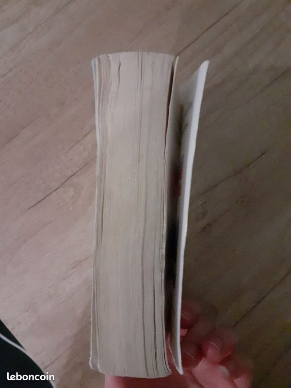 Livre anges et demons de dan Brown (image 4)