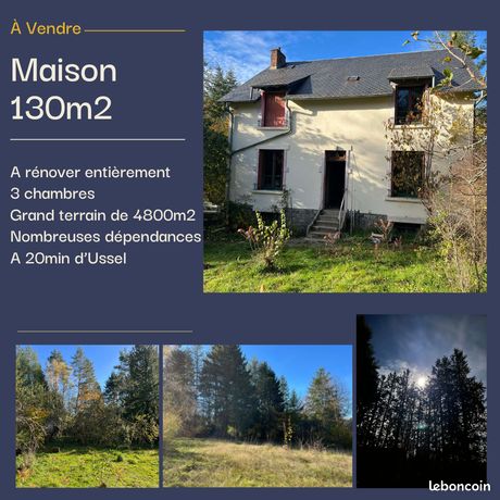 Maison a rénover entièrement - fort potentiel et grand terrain arboré