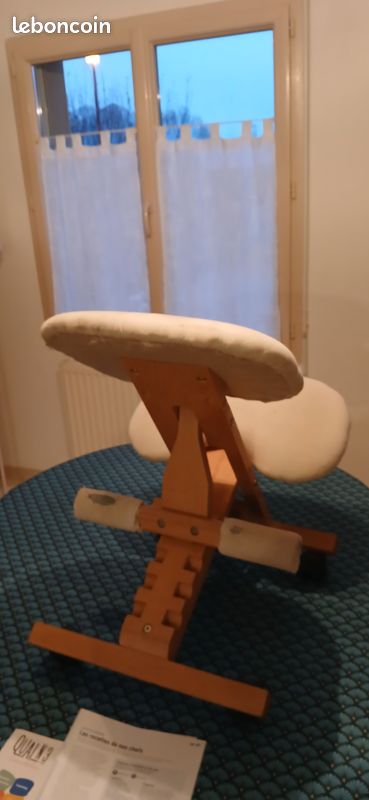 Siége ergonomique (image 1)