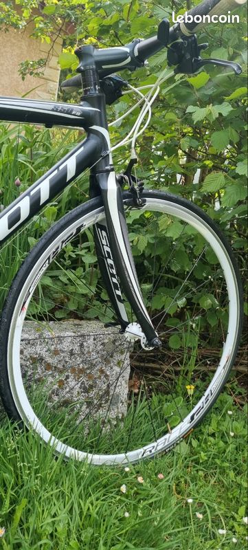 Bicyclette Scott VÃ©lo Femme Scott Grandeur VÃ©lo De Route Femme