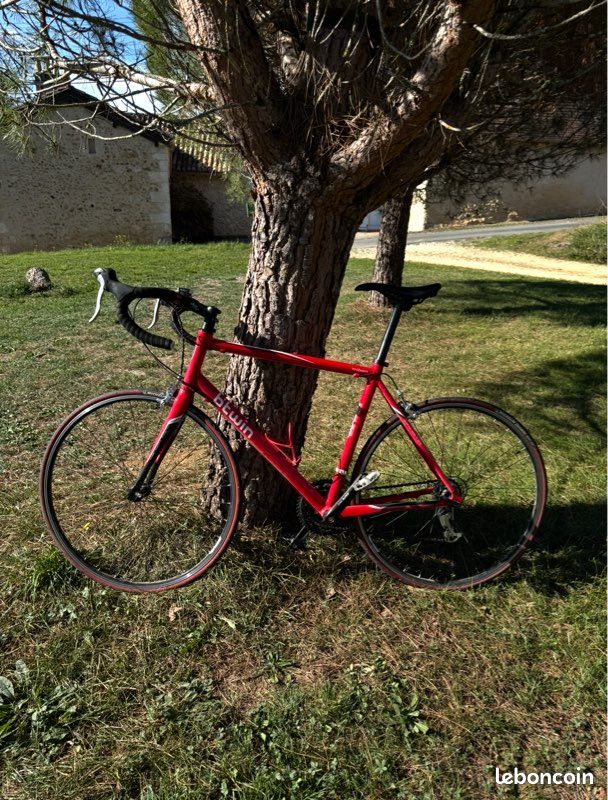 Vélo de route (image 3)