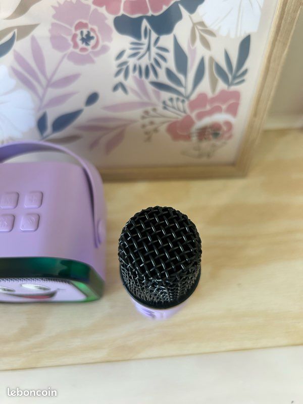 🎤 Enceinte Karaoké portable + 2 micros – Neuve 💜 (image 5)