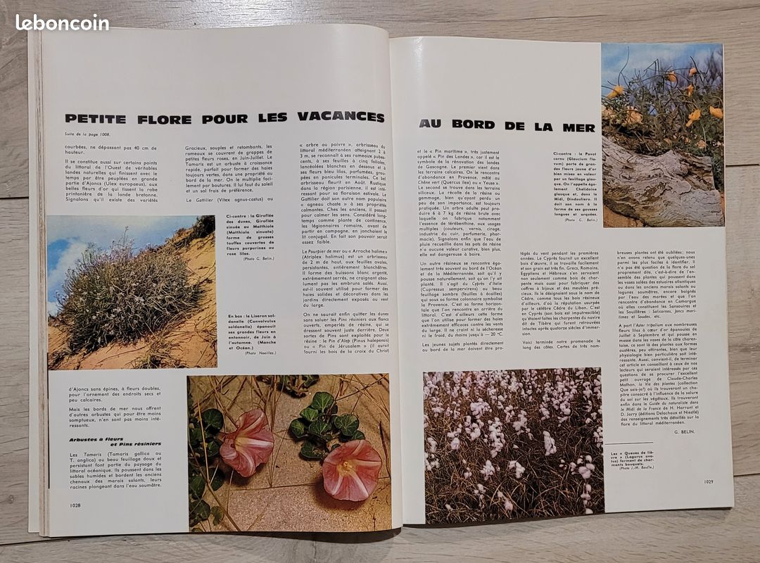 12 mon jardin et ma maison 1964 (image 8)