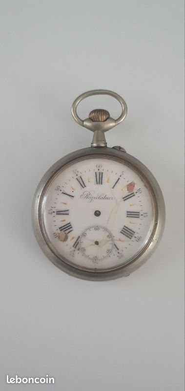 Montre gousset REGULATEUR (image 1)