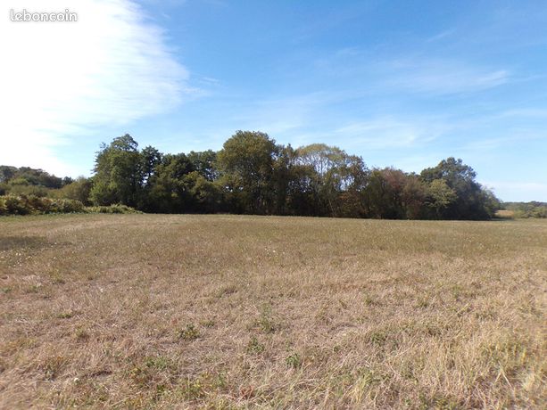 Terrain 1943 m² SAINT CRICQ CHALOSSE