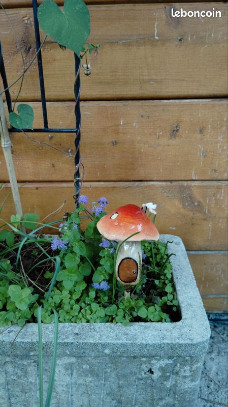 Champignon maison dĂ©coratif đ (image 1)