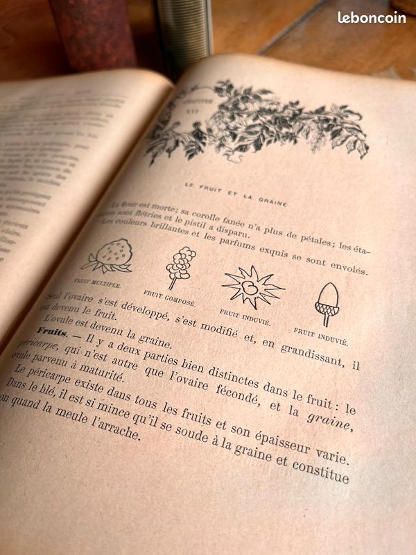 Livre Fleurs, Plantes, Fruits. Le monde végétal de G Fraipont (image 4)