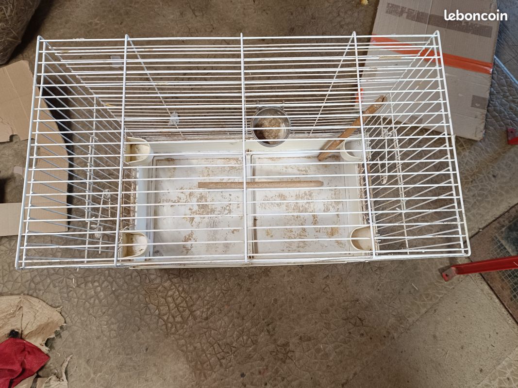 Cage oiseaux (image 1)